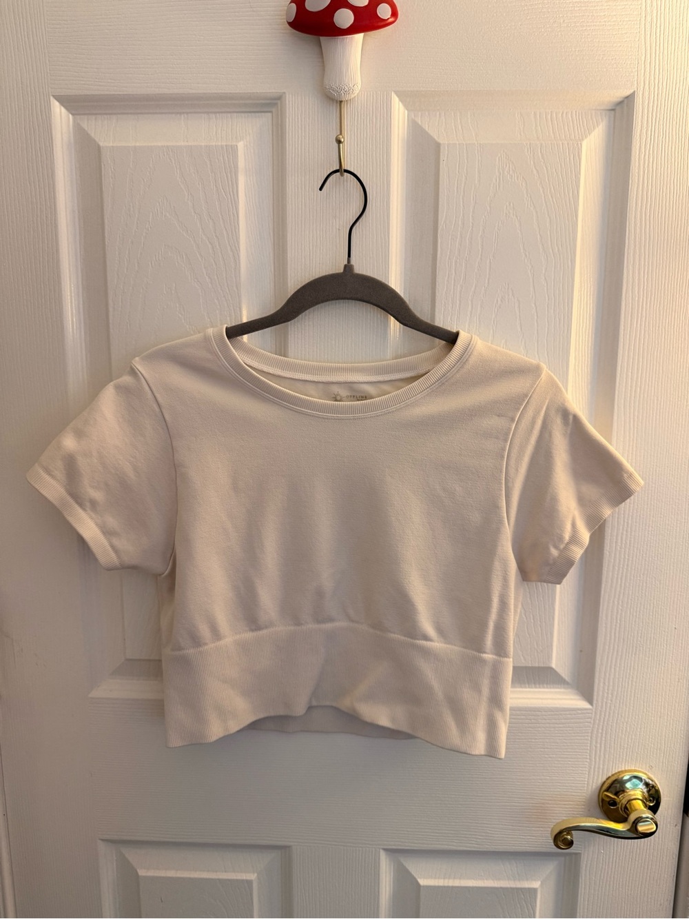 aerie Cream Short Sleeve Crop Top